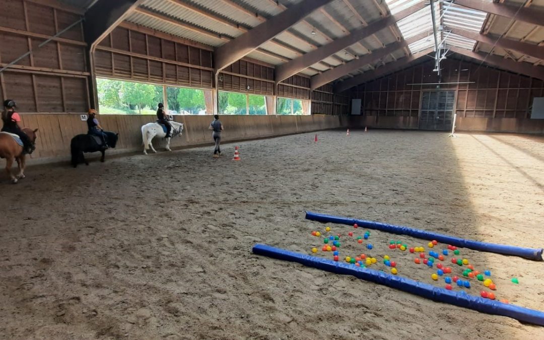 Geschicklichkeitsreiten in den Reitstunden